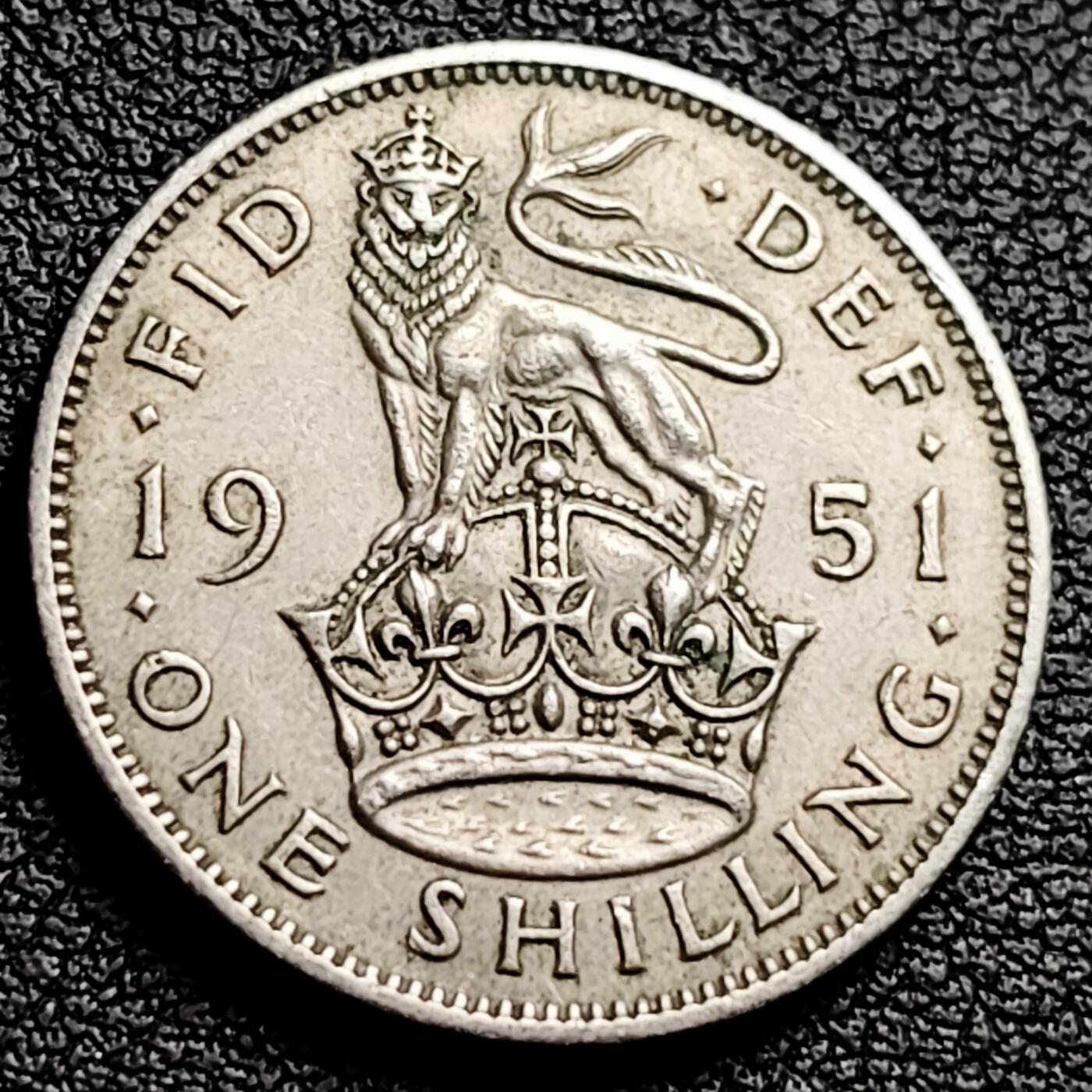 泉币菌-第230场-拍品多 请提前出价