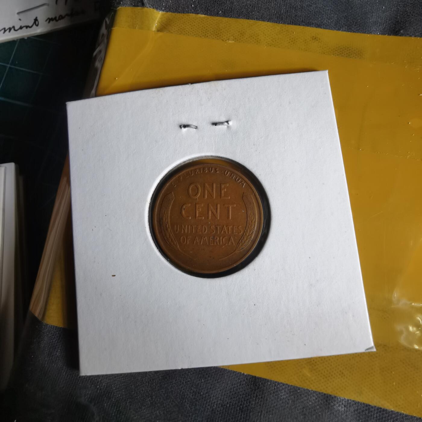 沼泽如烟--第1062场