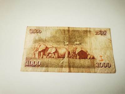 零零发流通品外国纸币拍卖 无佣金 肯尼亚1000