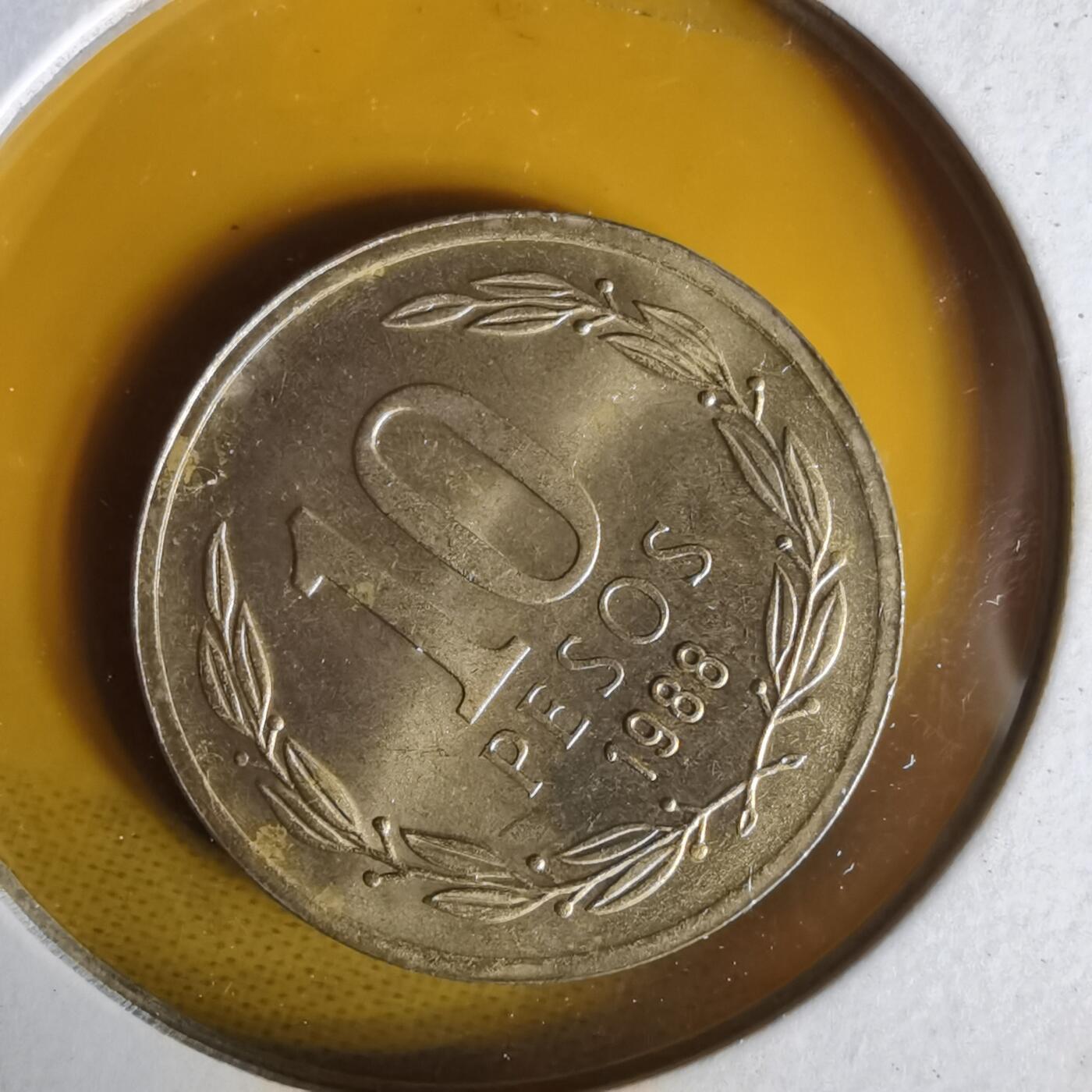 沼泽如烟--第1062场