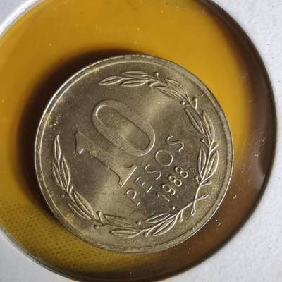 沼泽如烟--第1062场 智利1988年10比索