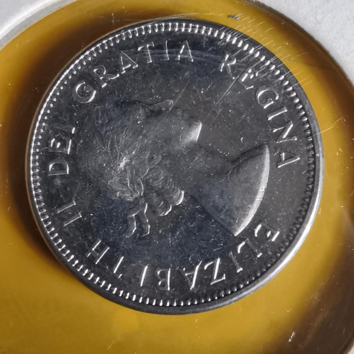 沼泽如烟--第1062场