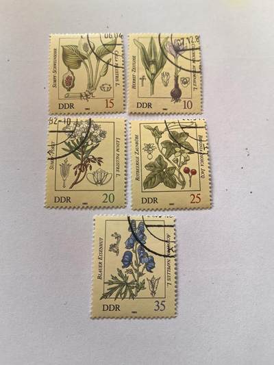 杂票 东德邮票 花卉5枚旧