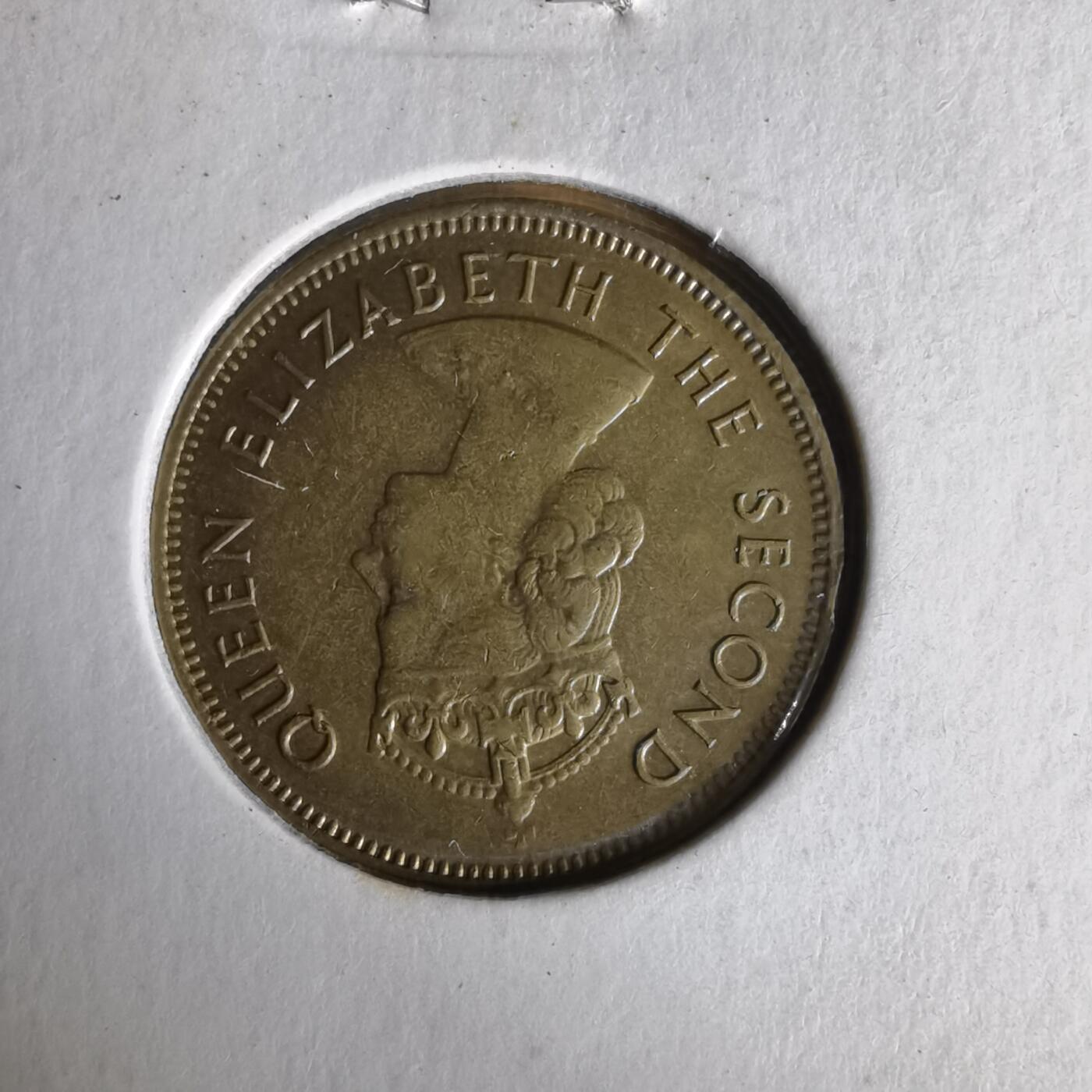 沼泽如烟--第1062场