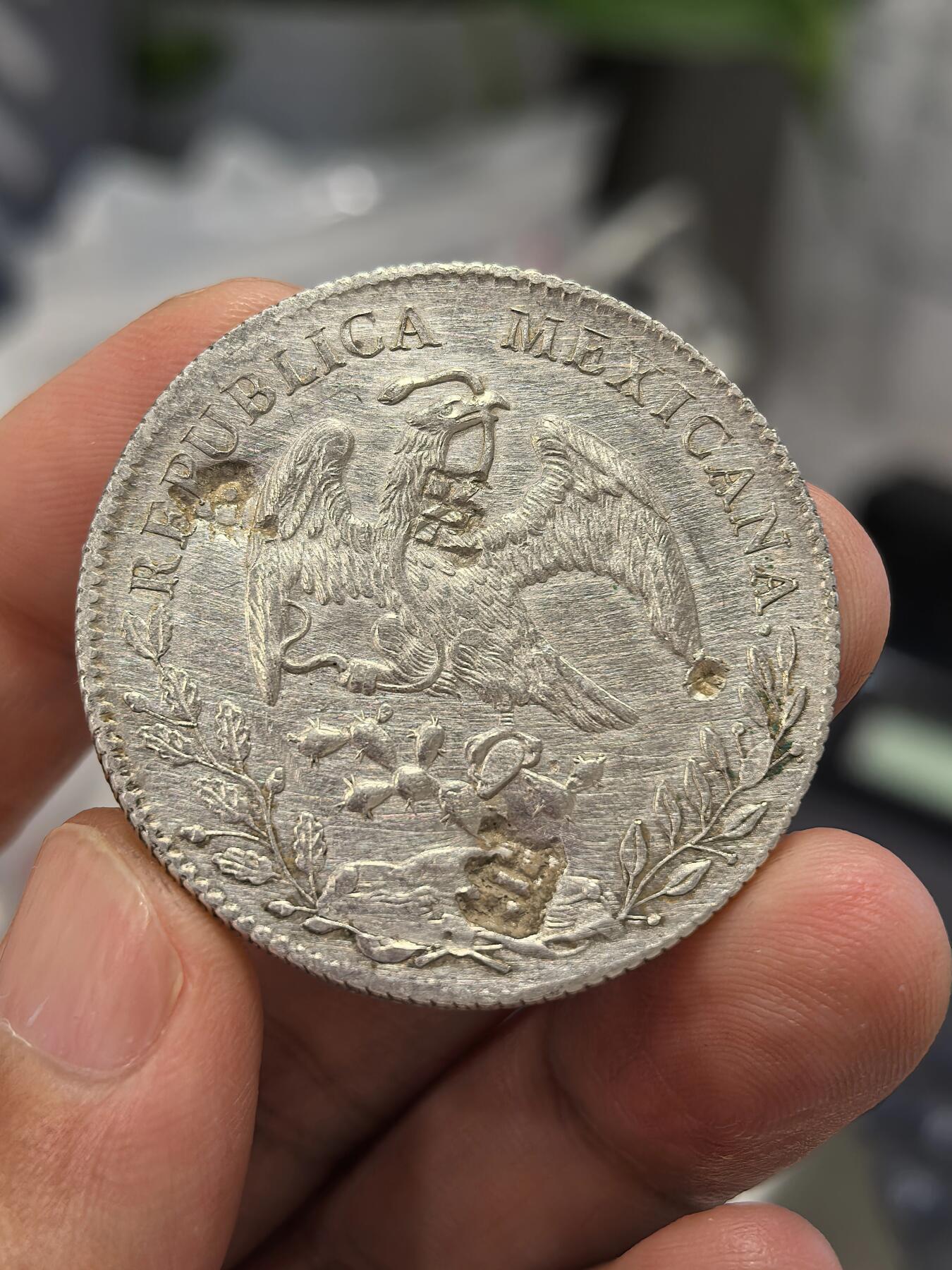 博洋堂“生趣盎然”4月精品专场暨第169期（全场包邮）