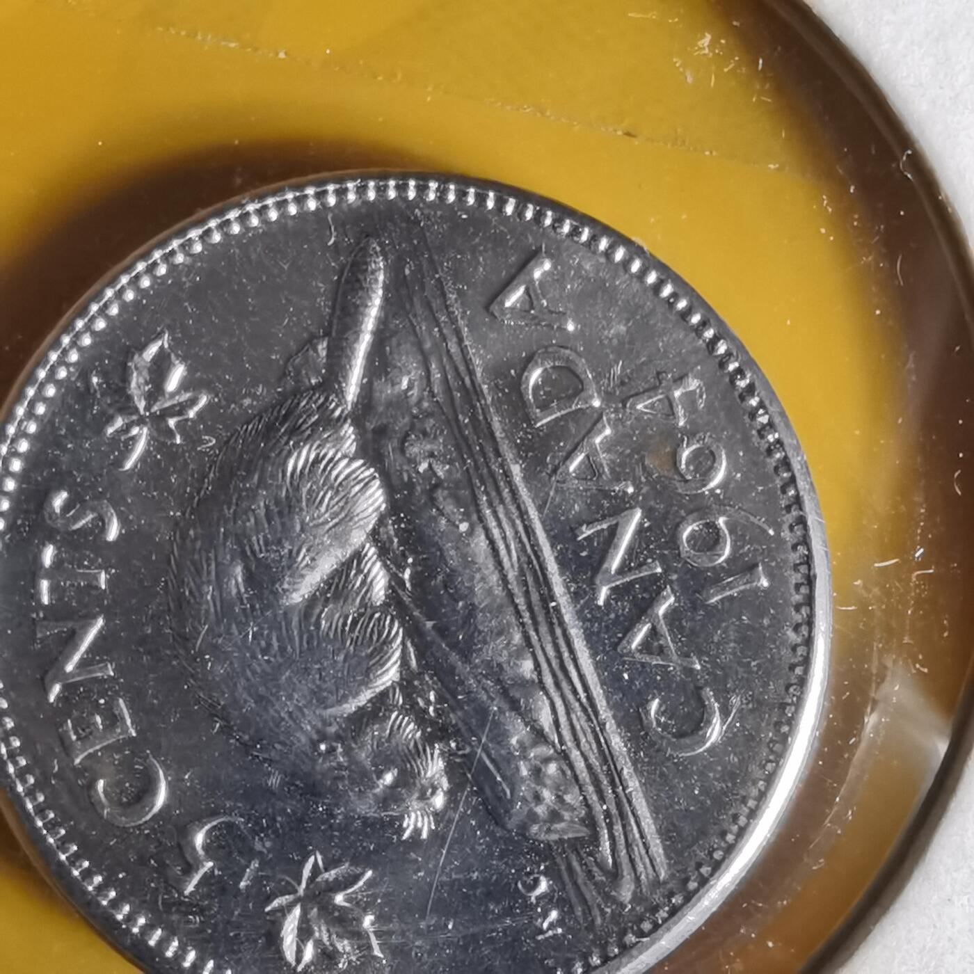 沼泽如烟--第1062场