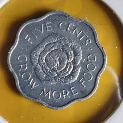 沼泽如烟--第1063场 - 塞舌尔1972年五分FAO