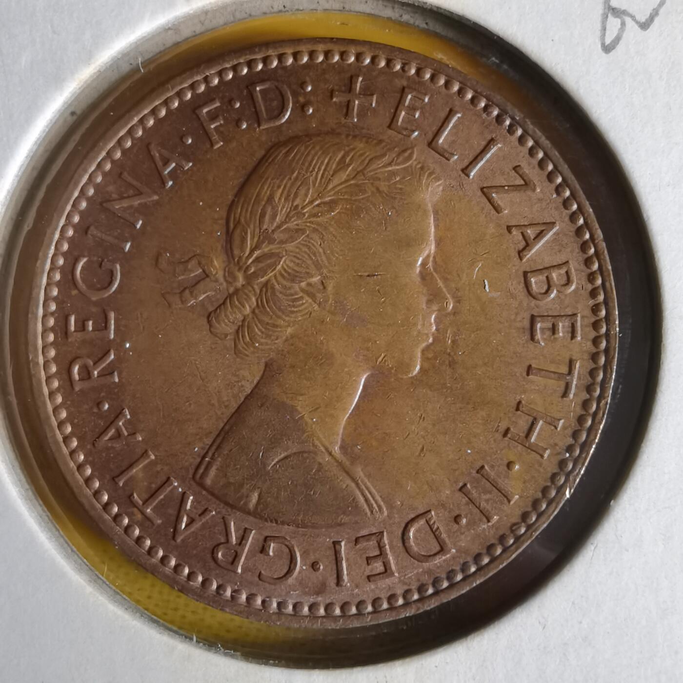 沼泽如烟--第1062场