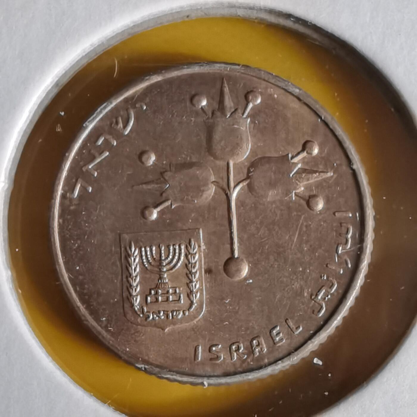 沼泽如烟--第1062场