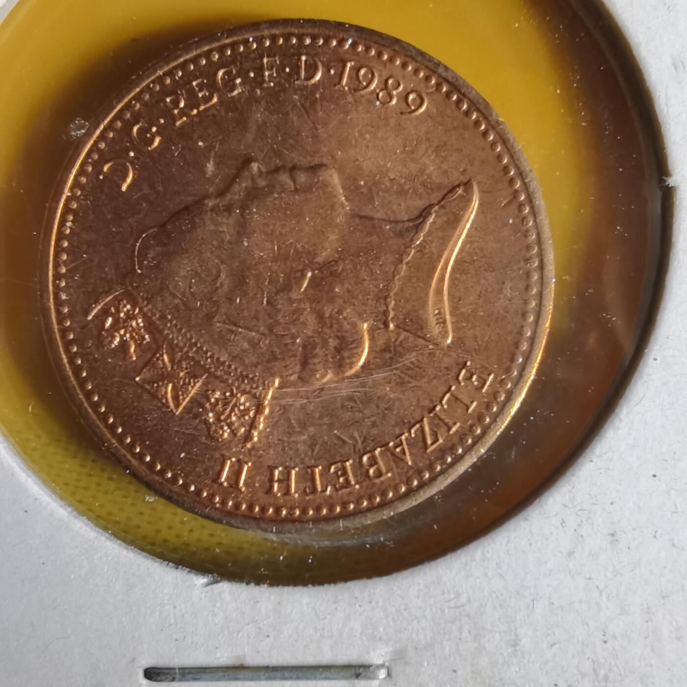 沼泽如烟--第1062场