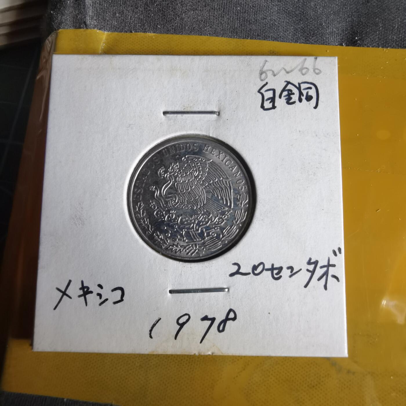 沼泽如烟--第1062场