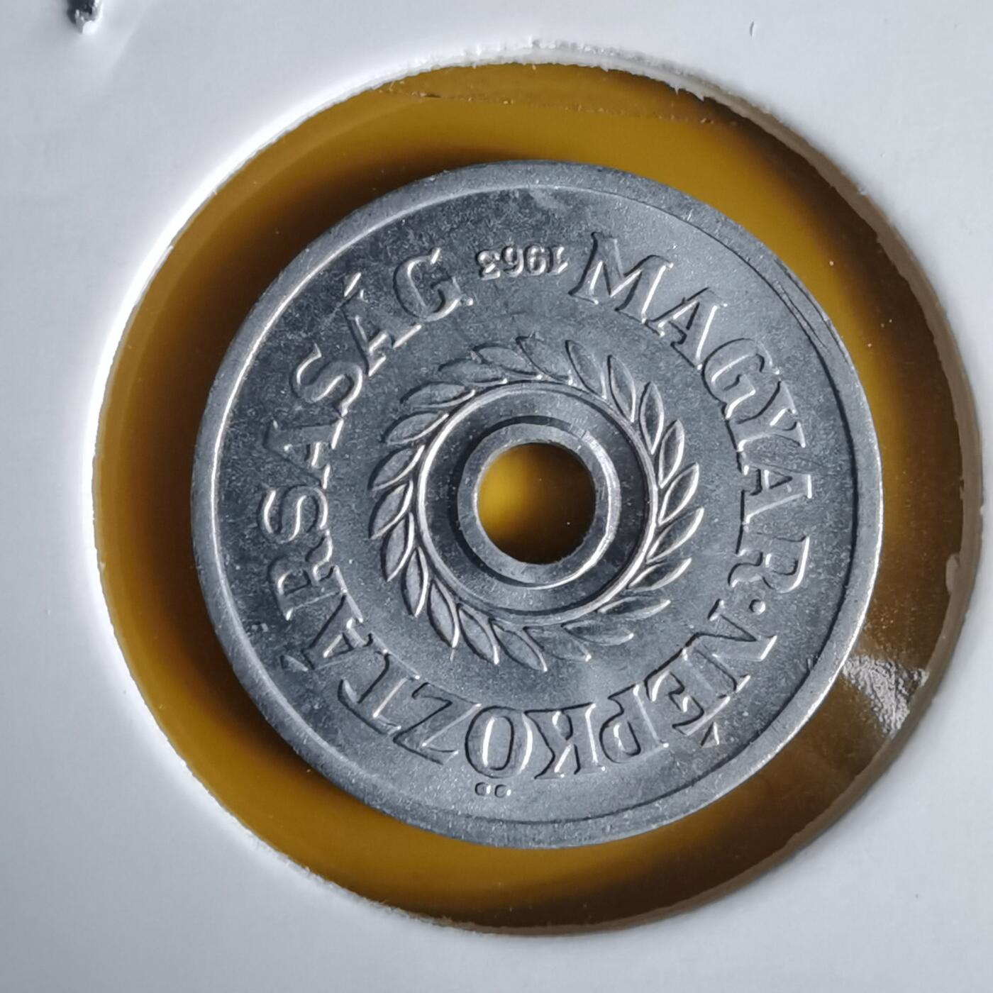 沼泽如烟--第1062场