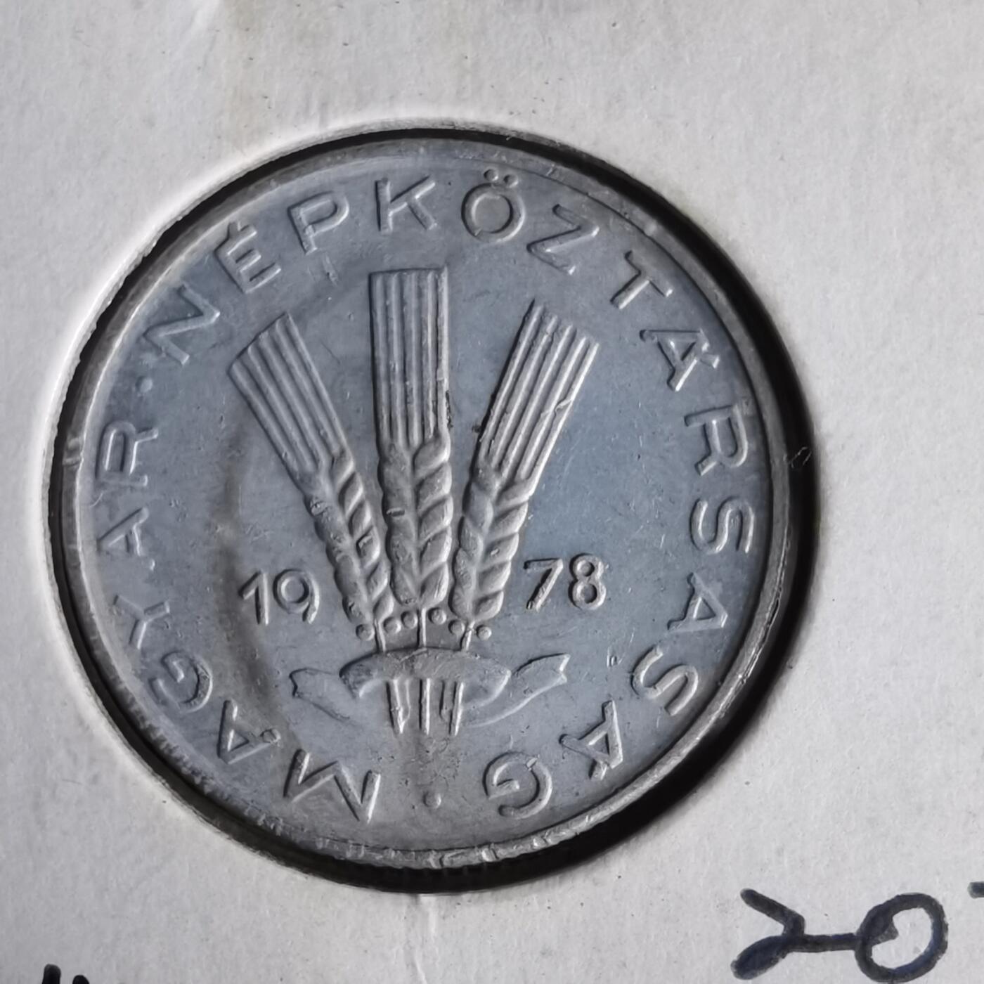 沼泽如烟--第1062场