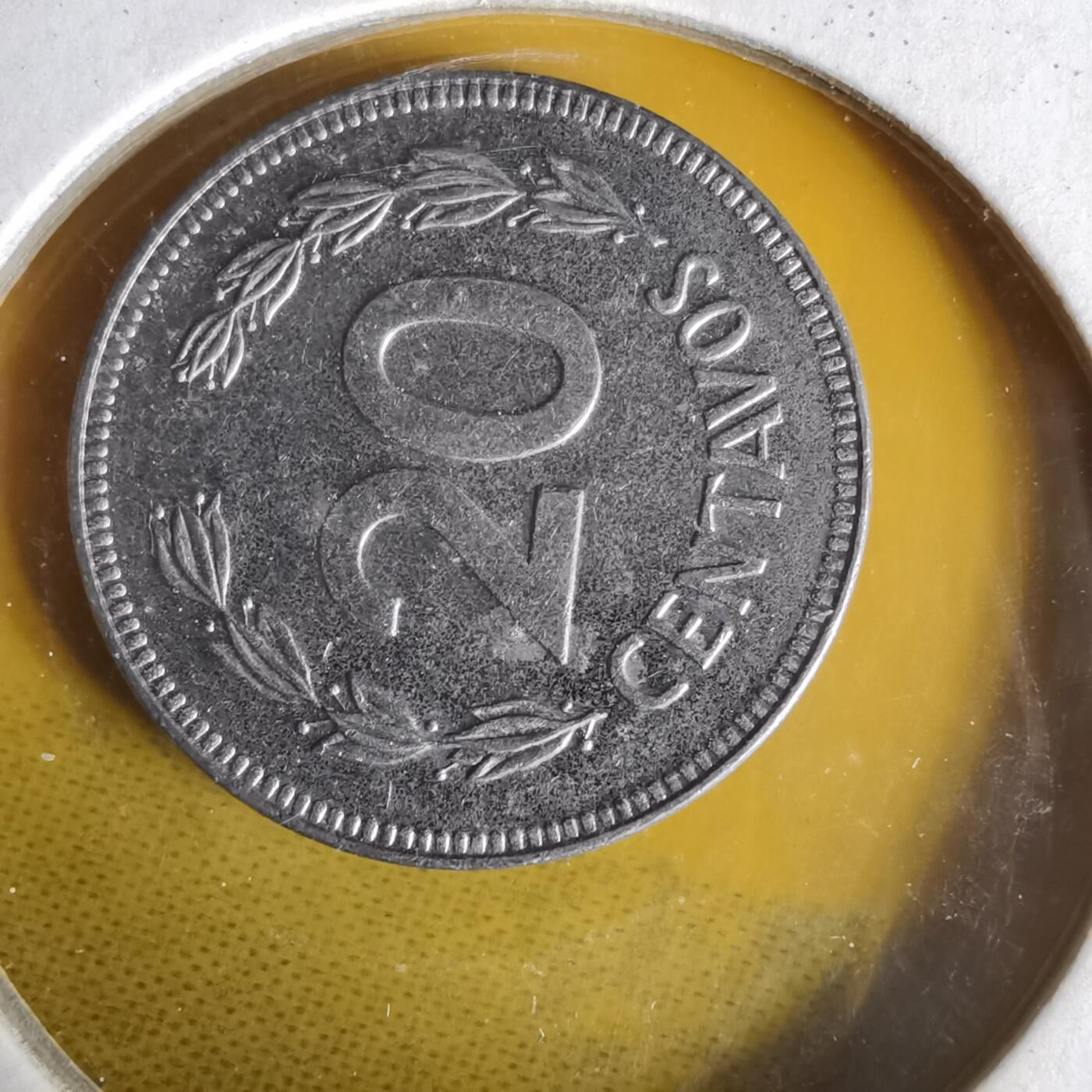 沼泽如烟--第1062场