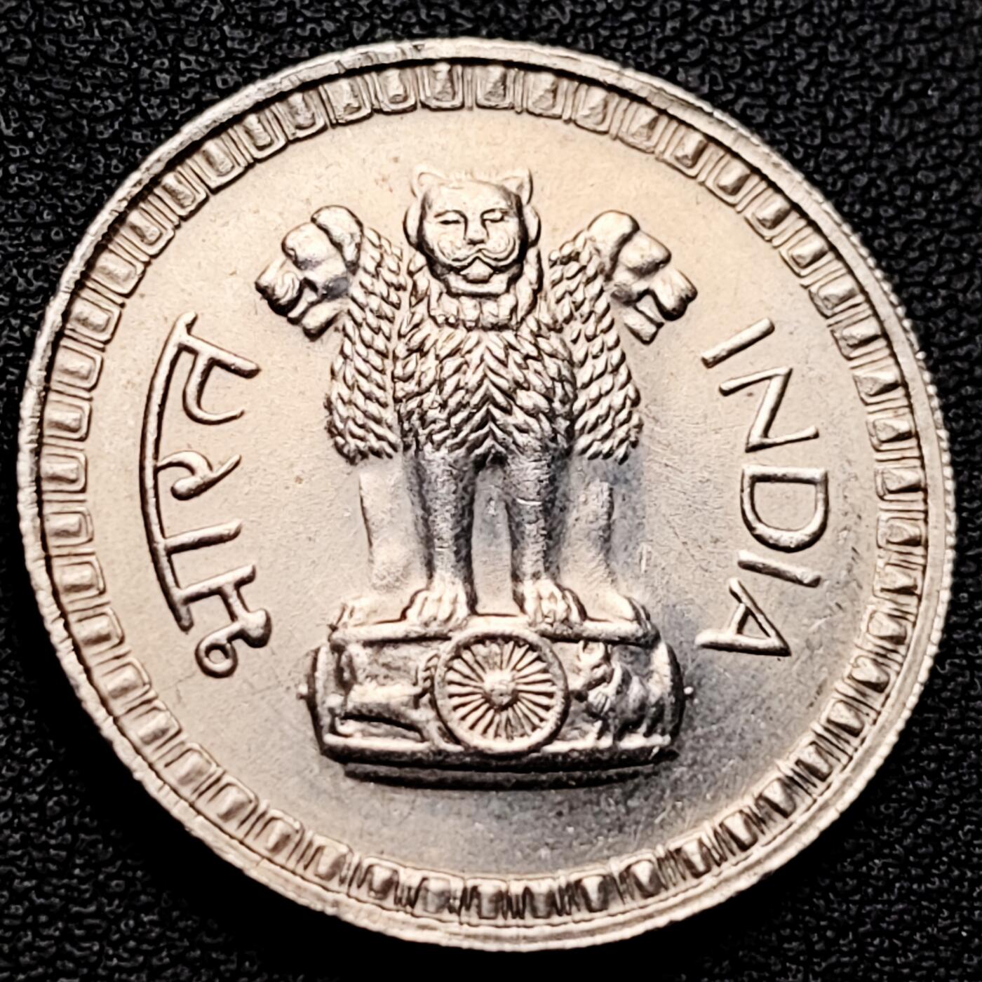 泉币菌-第230场-拍品多 请提前出价