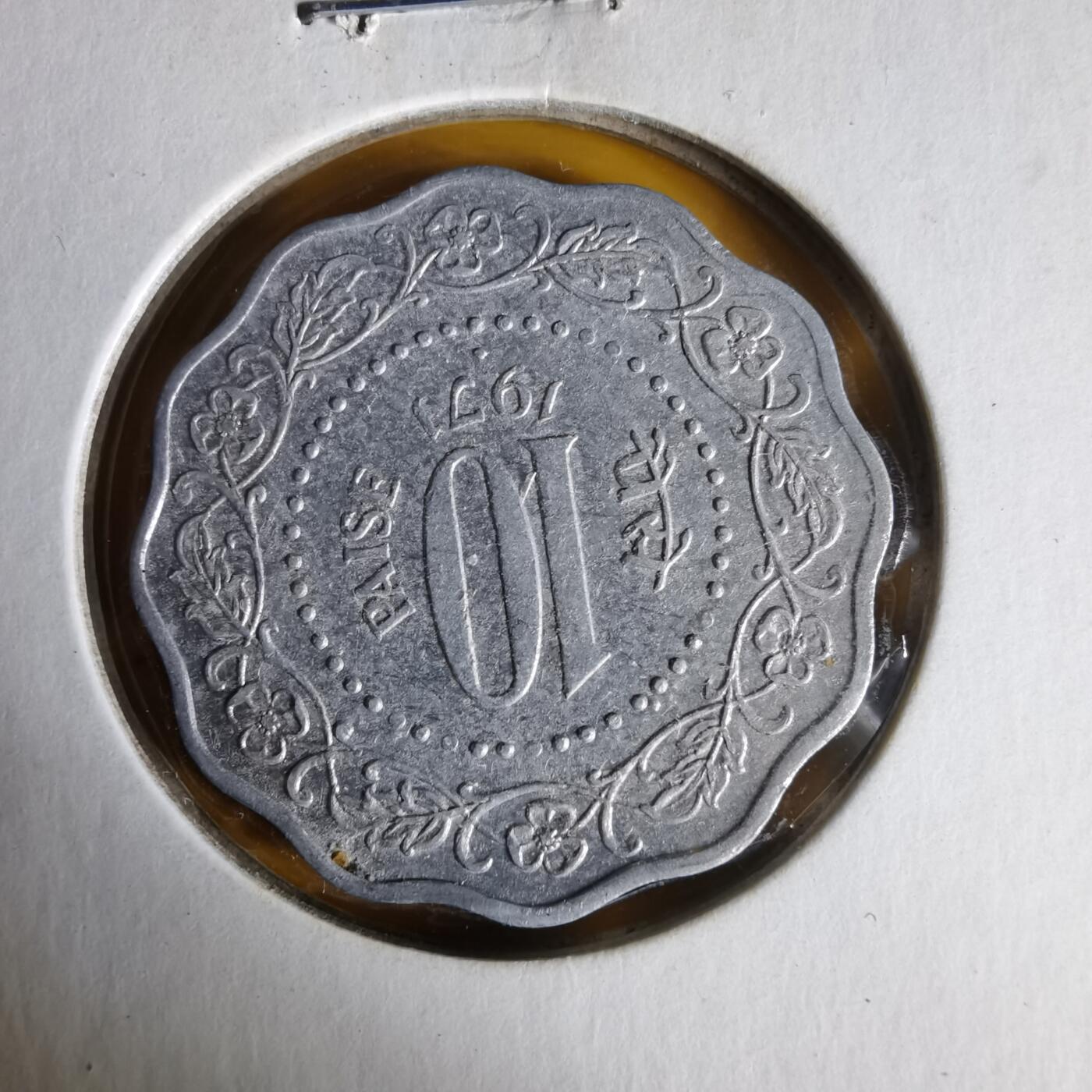 沼泽如烟--第1062场