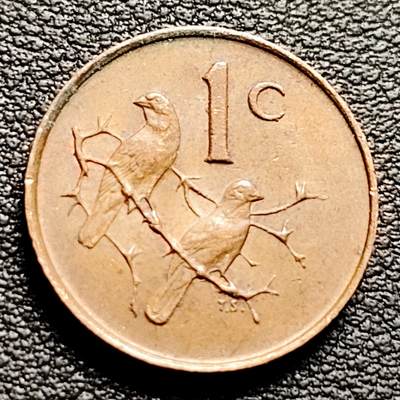 泉币菌-第230场-拍品多 请提前出价 麻雀 南非1966年 1分青铜硬币 19毫米 3.0克 铜钱纪念币