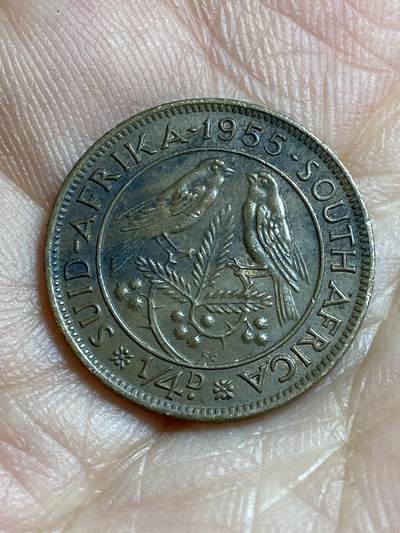2026年第四十七场(总第二百一十六场）外国好品散币场(免佣金) 英属南非1955年1/4便士(等值1法新，伊丽莎白二世青年桂冠)