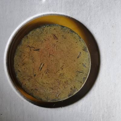 沼泽如烟--第1062场 菲律宾