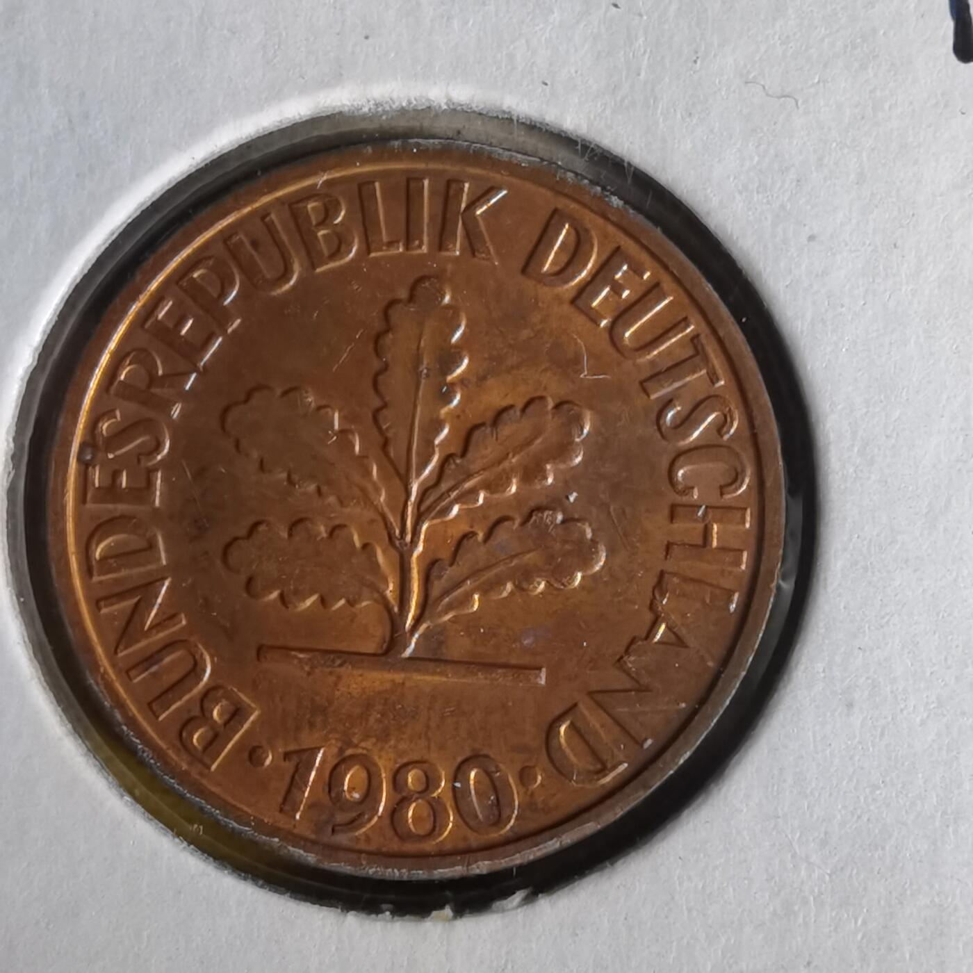 沼泽如烟--第1062场