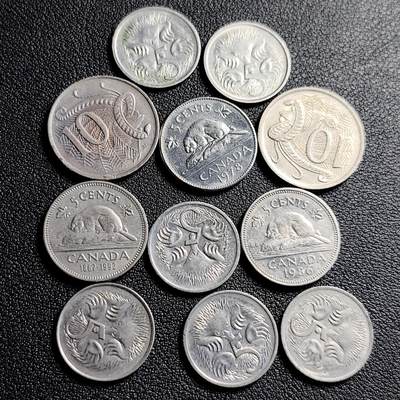 泉币菌-第231场-拍品多 请提前出价 11枚一组 英女王白铜币混合年份