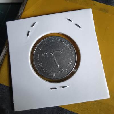 沼泽如烟--第1064场 阿联酋