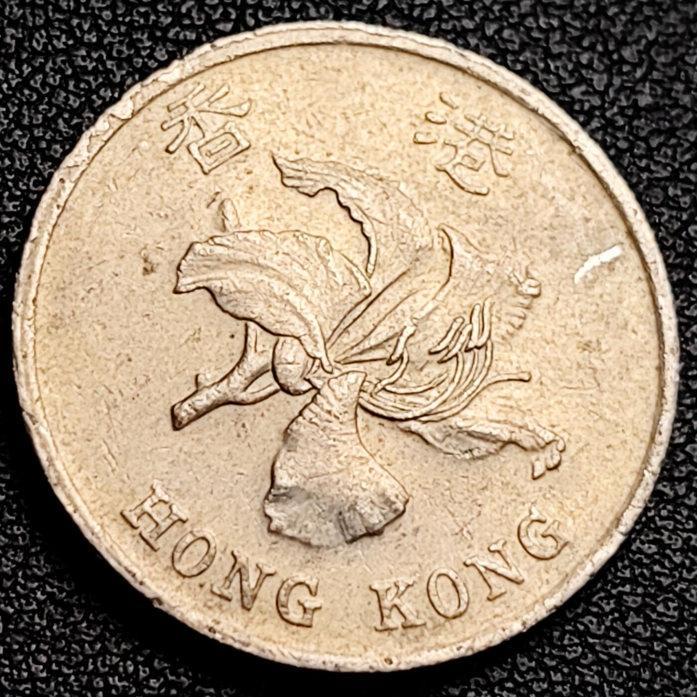 泉币菌-第231场-拍品多 请提前出价