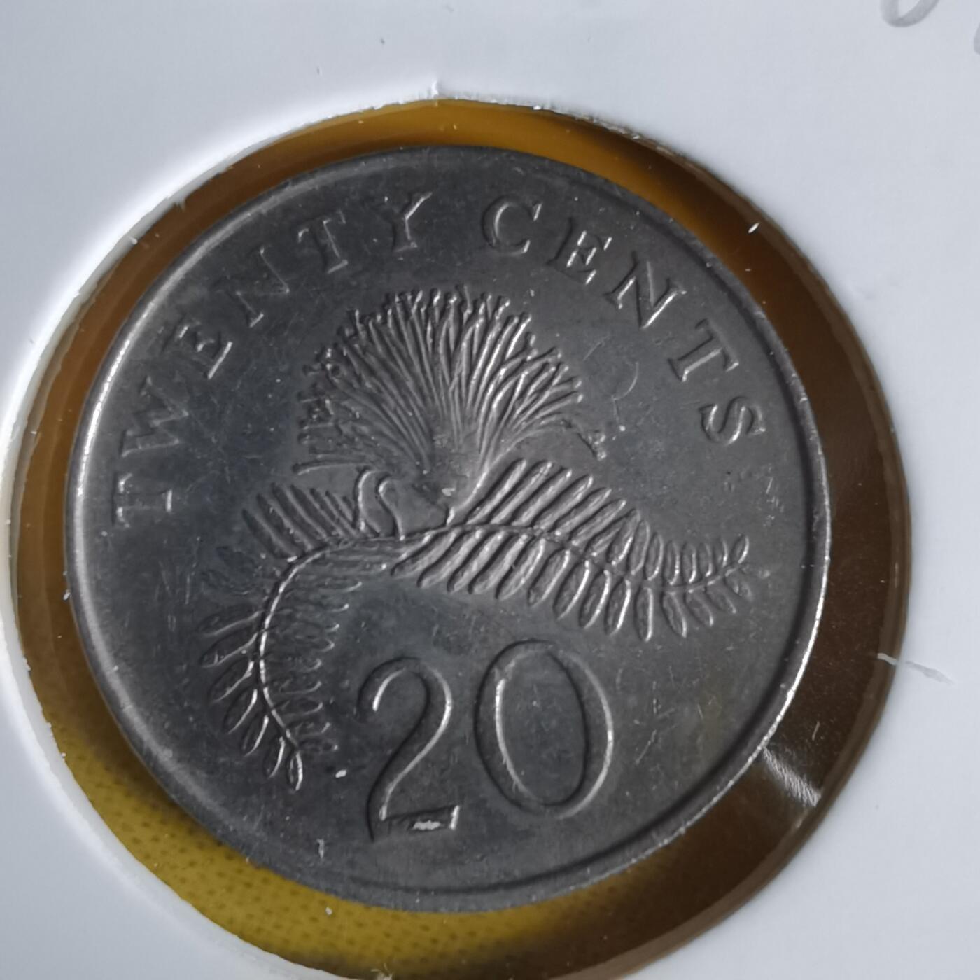 沼泽如烟--第1064场