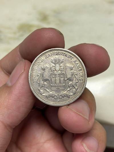 大畅畅的钱币铺 1876年德国双狮2马克