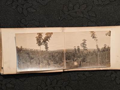 东亚欧洲主题杂货徽章勋章拍卖⑩ （五一大拍350+） 日本战时冲绳地区相册 上 55张左右（此处出价）