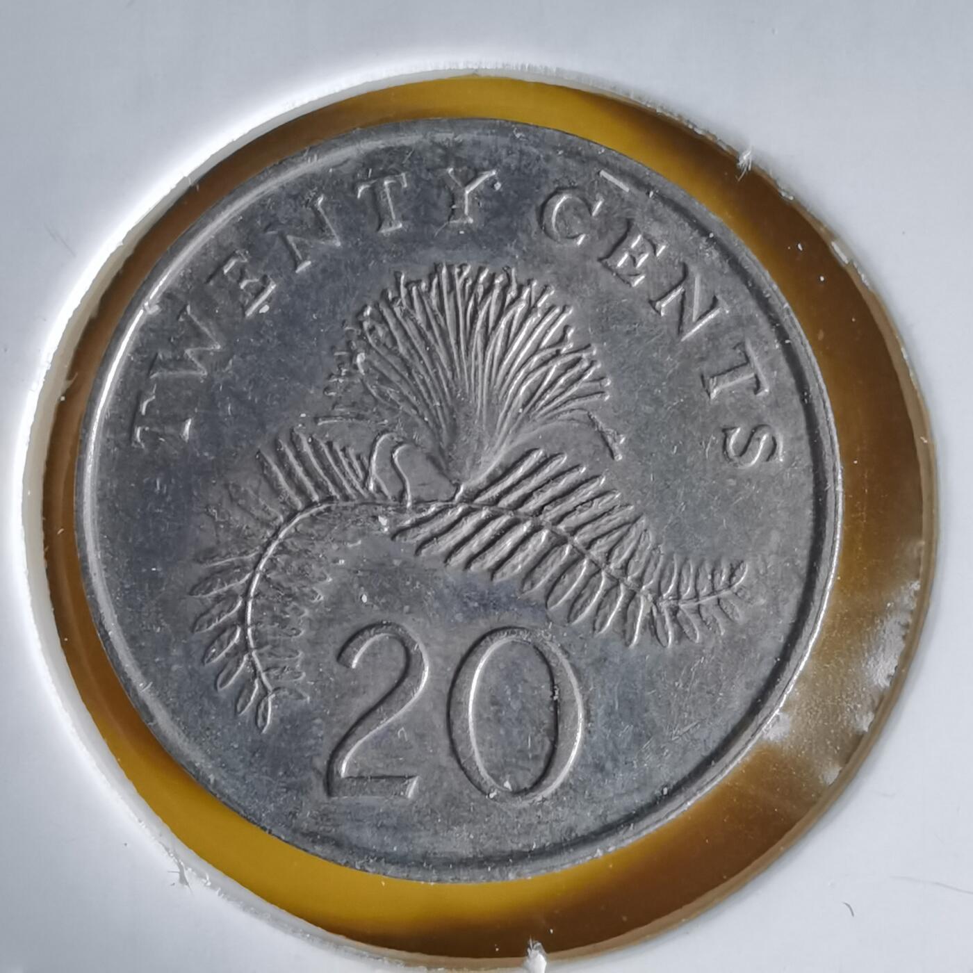 沼泽如烟--第1064场