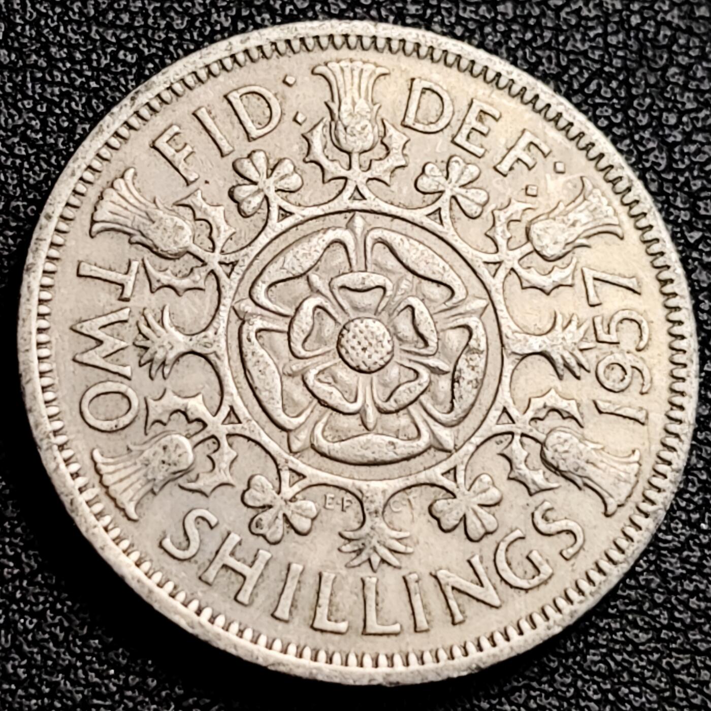 泉币菌-第231场-拍品多 请提前出价