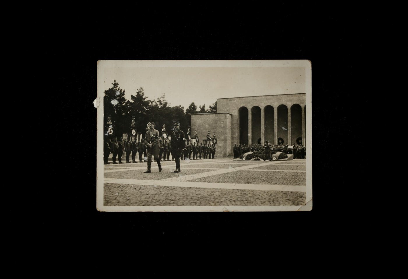 戎马世界章牌大赏第116期