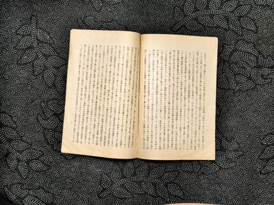 东亚欧洲主题杂货徽章勋章拍卖⑩ （五一大拍350+） 日本帝国应走之路 宣传刊物 （勿忘国耻）