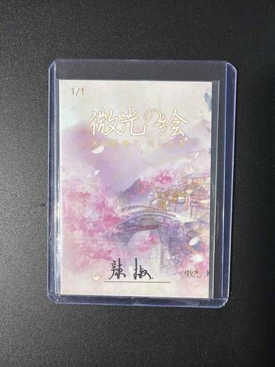 NO.31 好又多金牌大场，期期夯爆，每周必拍！要啥有啥，一站式配齐，方便凑单！（周6晚9点截拍，卖家送拍0抽成！） 【1/1手绘卡】微光 画师辣椒 精美手绘卡 英姿少侠