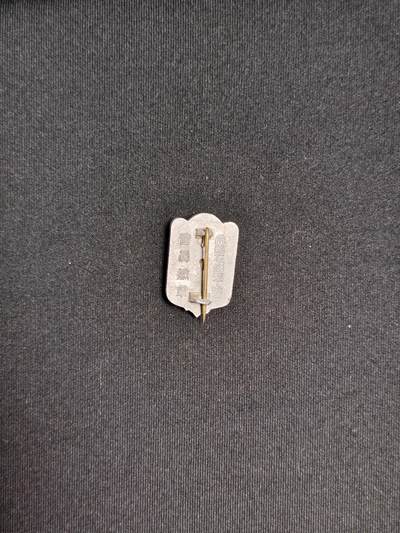 东亚欧洲主题杂货徽章勋章拍卖⑩ （五一大拍350+） 帝国在乡军人会会员章