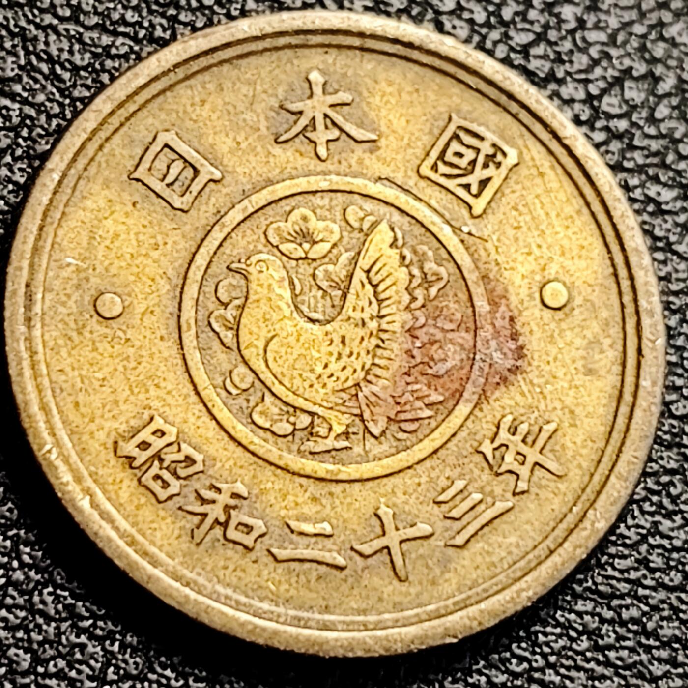 泉币菌-第231场-拍品多 请提前出价