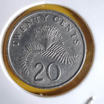 沼泽如烟--第1064场 新加坡1988年20分