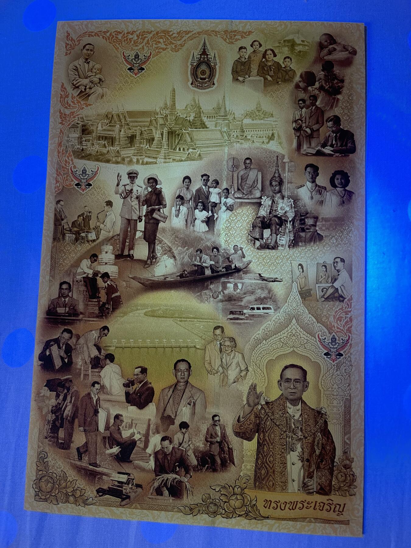 思温藏品团购专场(166】