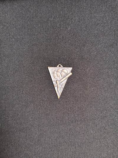 东亚欧洲主题杂货徽章勋章拍卖⑩ （五一大拍350+） 肉弹三勇士纪念章