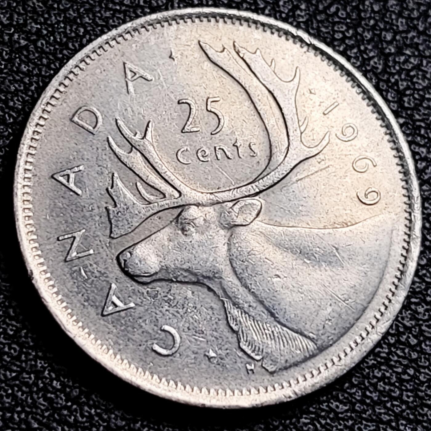 泉币菌-第231场-拍品多 请提前出价