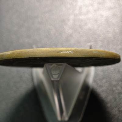 【德藏】世界币章拍卖第171期（拍品征集中~欢迎藏友联系） 1900年 德国易北-特拉沃运河开通纪念大铜章 少见品种 直径约：68.2mm；重约：124.9g