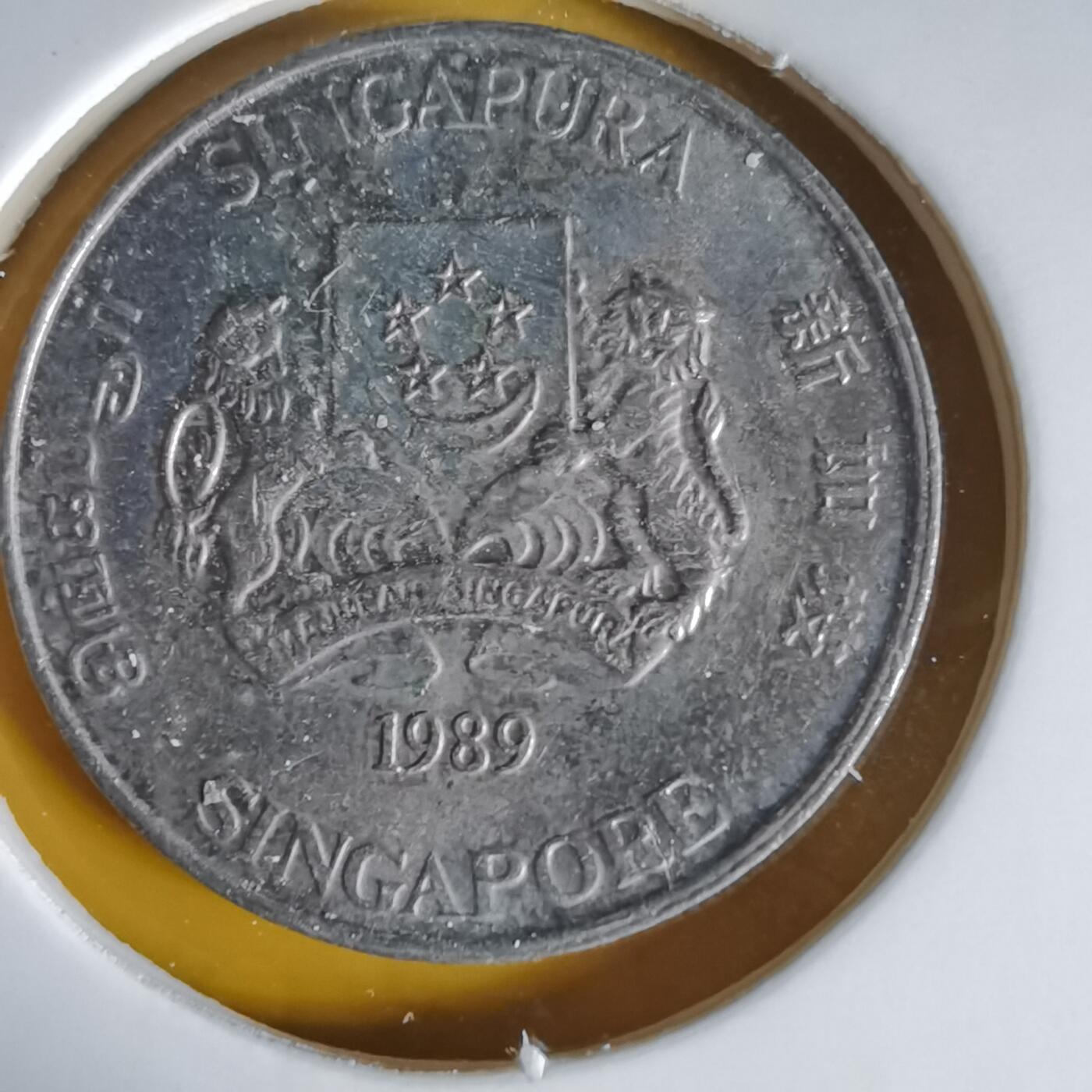 沼泽如烟--第1064场