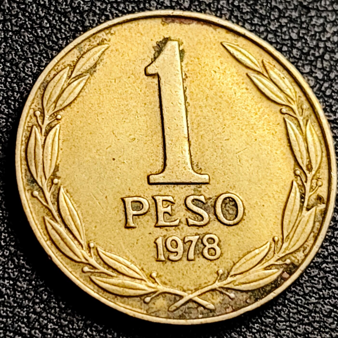 泉币菌-第231场-拍品多 请提前出价