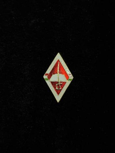 戎马世界章牌大赏第115期 匈牙利军校校徽