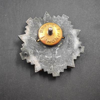 4月23日结束，成斌徽章钱币专场 南斯拉夫铜制帽徽珐琅