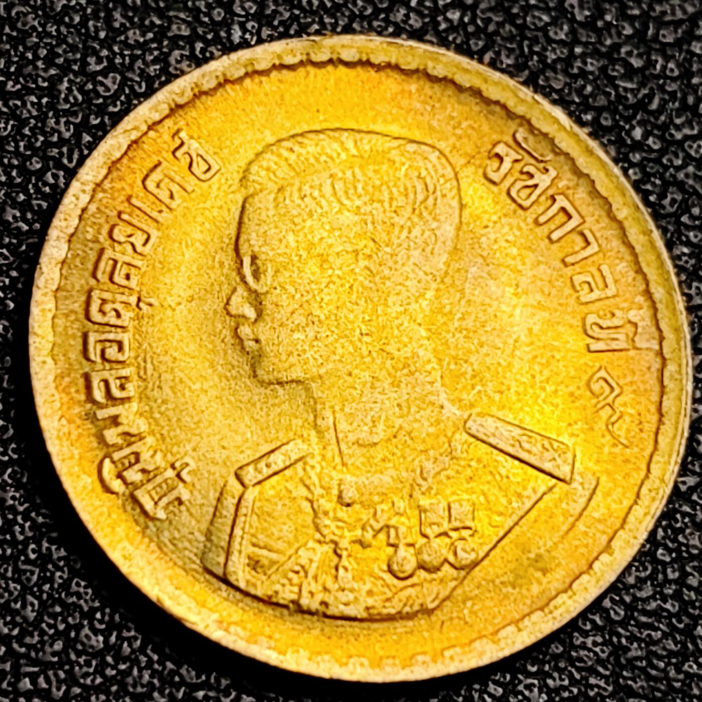 泉币菌-第231场-拍品多 请提前出价