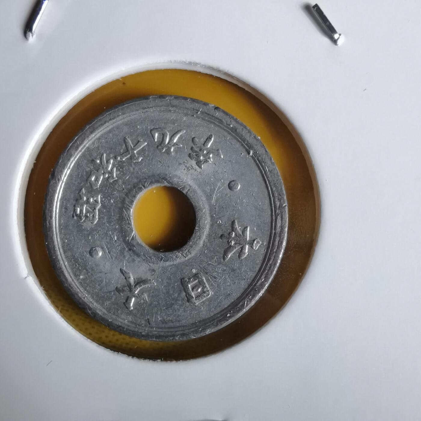 沼泽如烟--第1064场