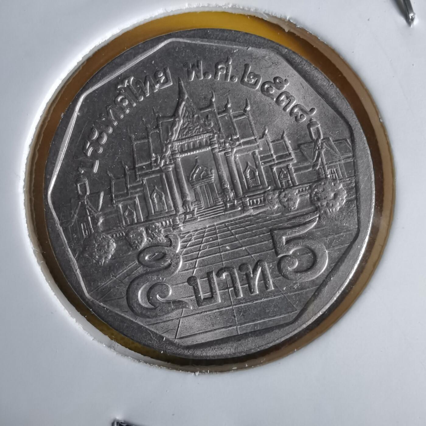 沼泽如烟--第1064场