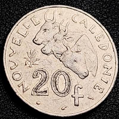 泉币菌-第231场-拍品多 请提前出价 。